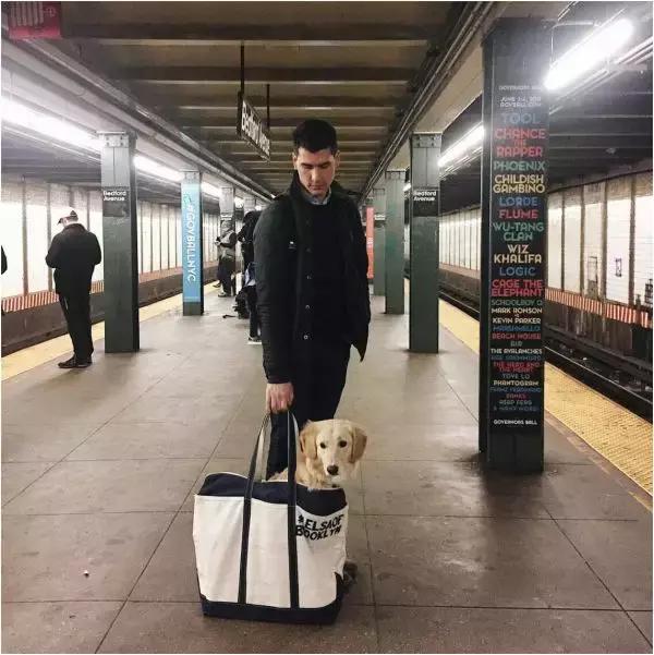 歪果仁玩法视频教程,歪果仁最佳玩法