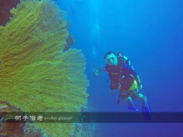 2017年工作总结视频,年终总结收获与展望