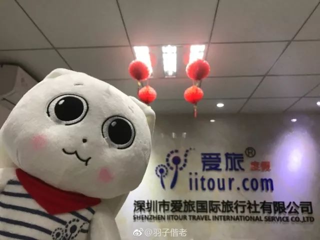 2017年工作总结视频,年终总结收获与展望