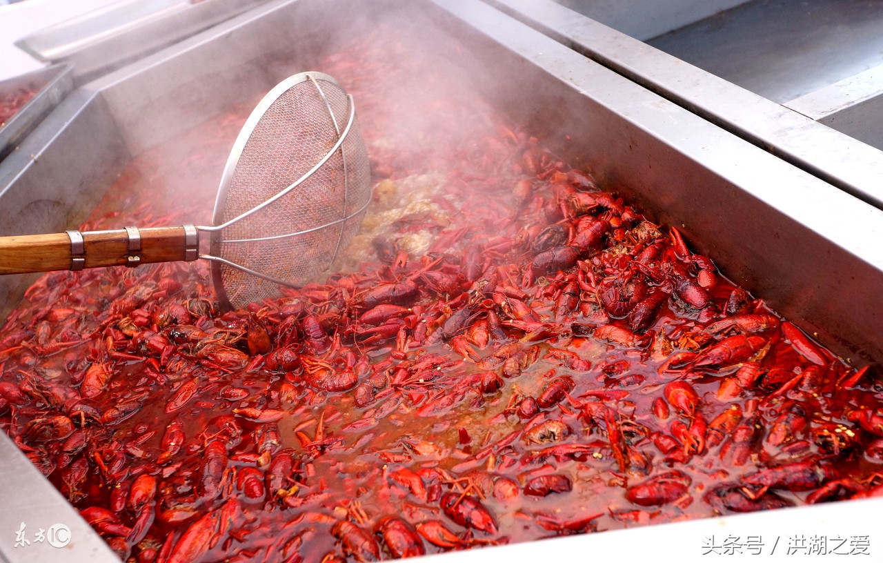 钓小龙虾的细节,网钓小龙虾技巧野外