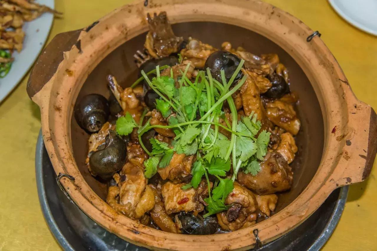 同福路金辉田螺鸡煲地址,同福西田螺鸡煲