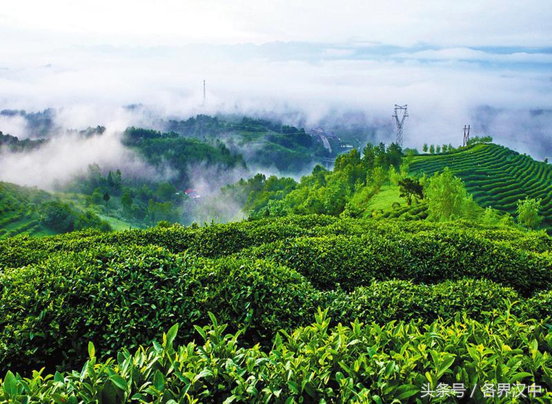 宜居宜业宜游魅力区,宜居宜业新魅力