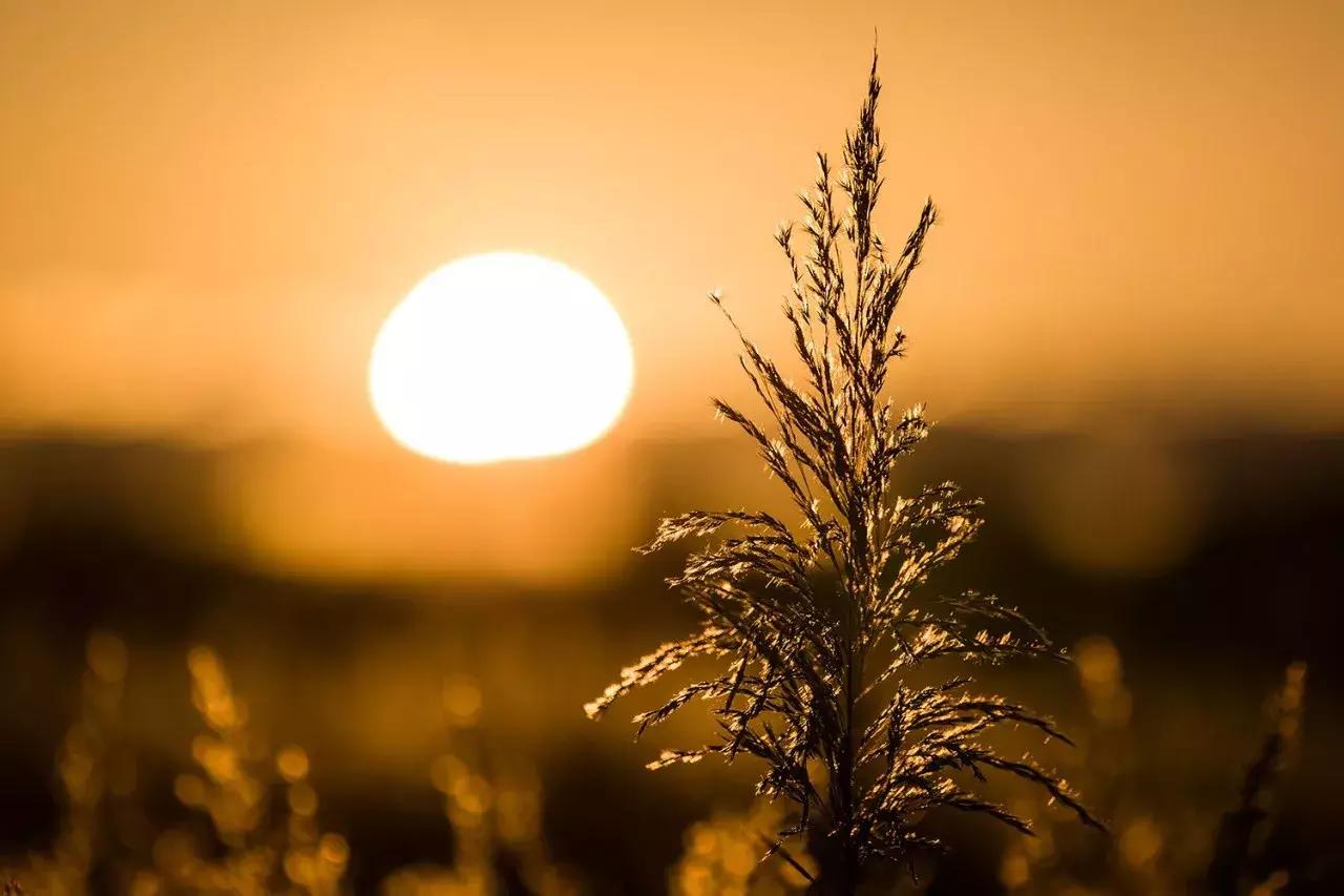 leicacl评测,leicacl