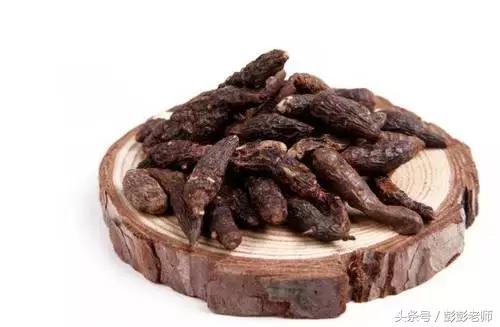 每日一学草药香附,跟名师学中医一日五练书籍