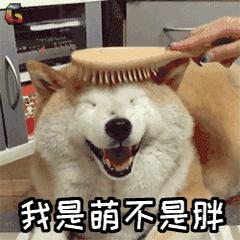 日租车技术指导上线