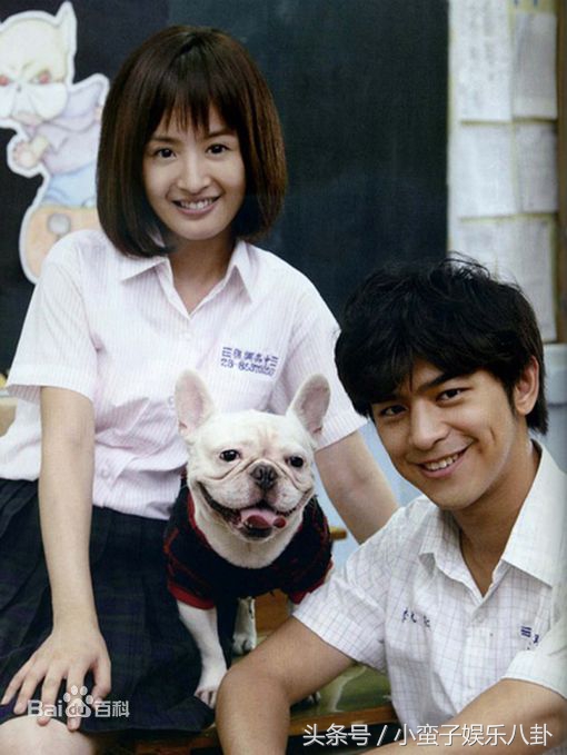 命中注定我爱你流星雨,命中注定我爱你放羊的星星客串