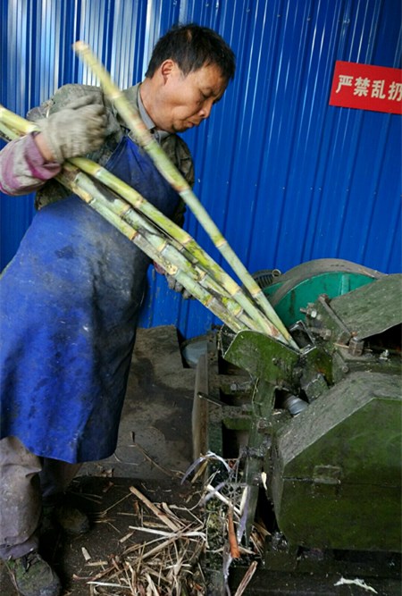 古法红糖熬制小视频,熬红糖视频教程