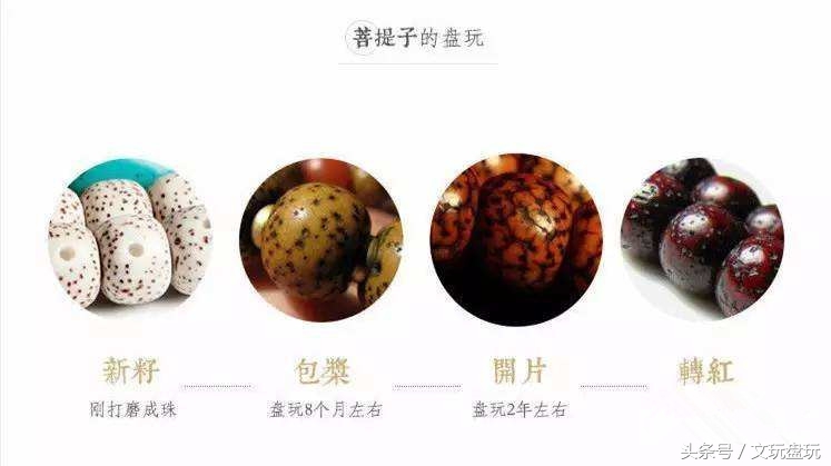 星月菩提最靠谱的挑选方法,星月菩提该怎么选