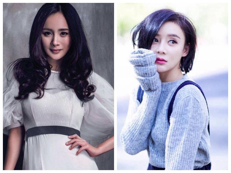 说出了袁姗姗不如杨幂红的原因,袁姗姗为什么比杨幂红