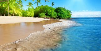 如何给饭店起个好名字能吸引人,怎么起个好餐饮店名