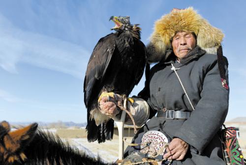 小型粘人的鸟类宠物有哪些,白领适合养什么宠物鸟类