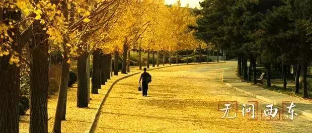 《无问西东》里的大师,民主*党**派人士有多少?