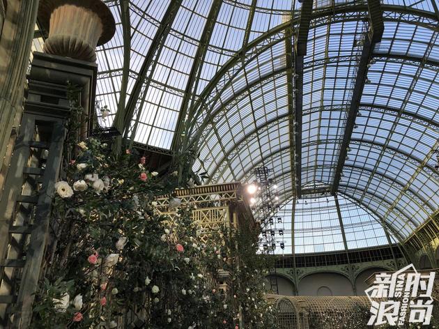 如何受邀参加香奈儿时装秀,怎么参加香奈儿的活动