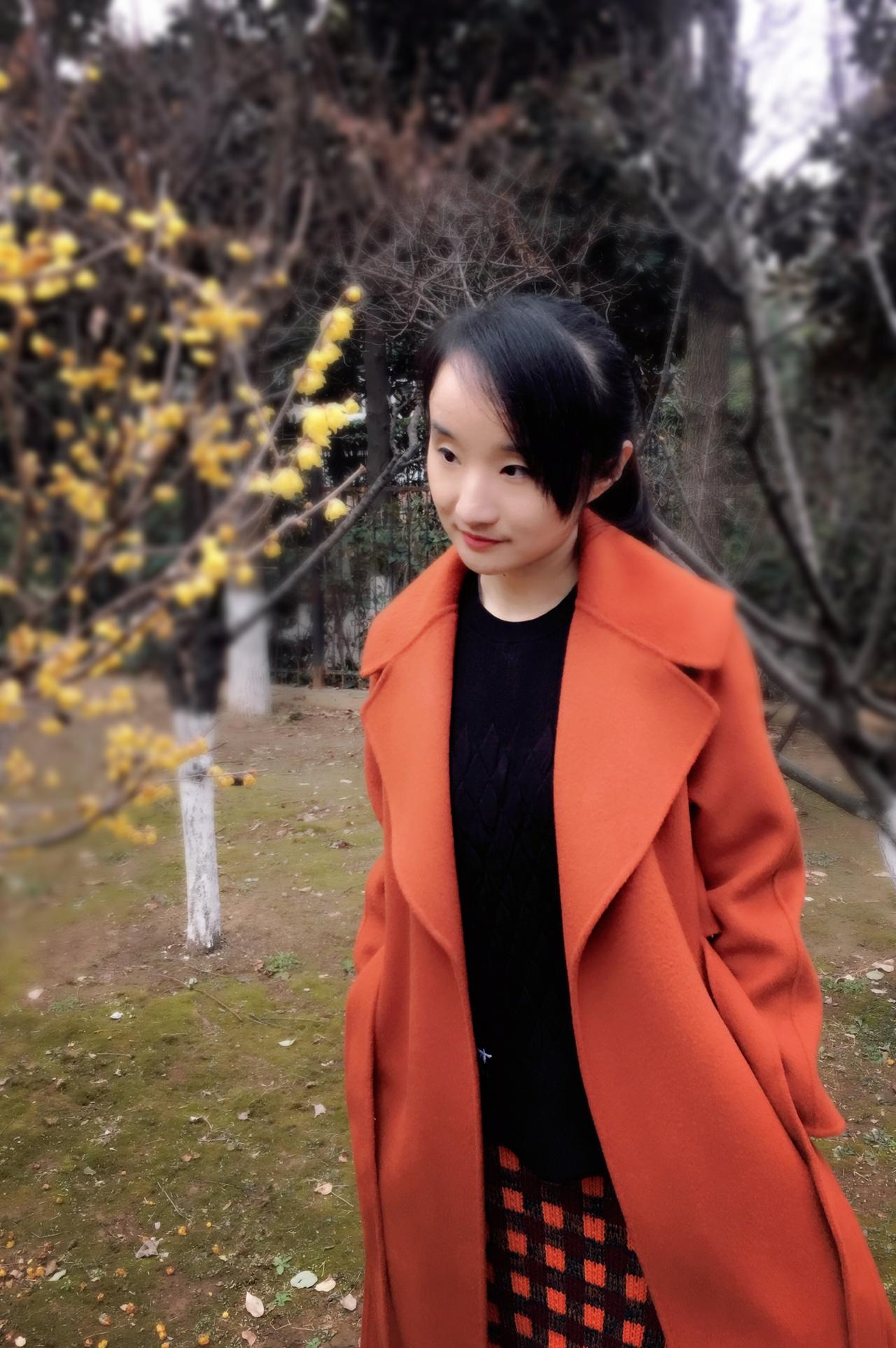 南京书店的故事,一个关于书店的故事