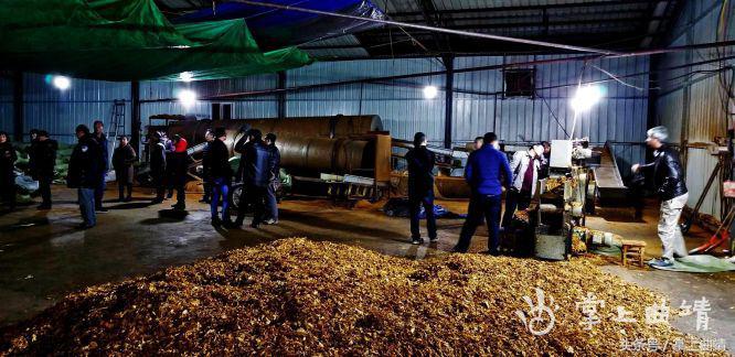 2018雷霆专项行动破获百起,春雷行动查办各类违法案件465件