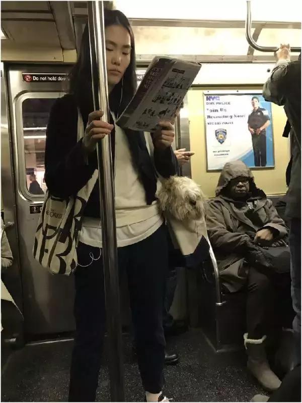 歪果仁玩法视频教程,歪果仁最佳玩法