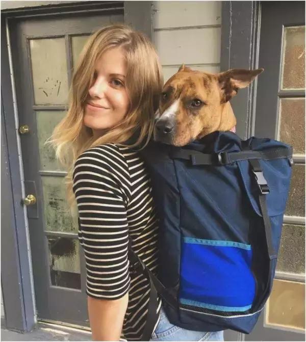 歪果仁玩法视频教程,歪果仁最佳玩法