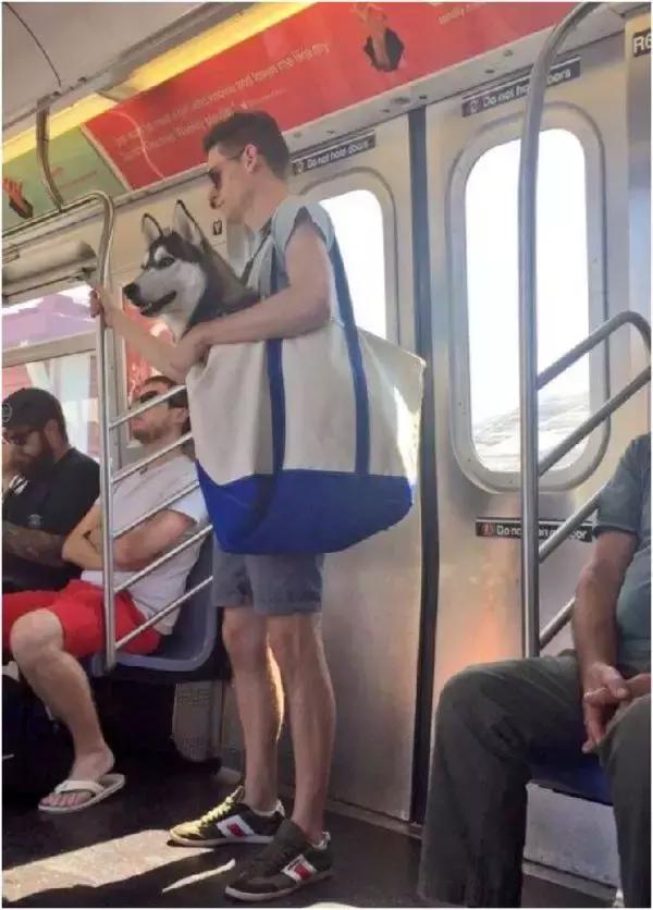 歪果仁玩法视频教程,歪果仁最佳玩法