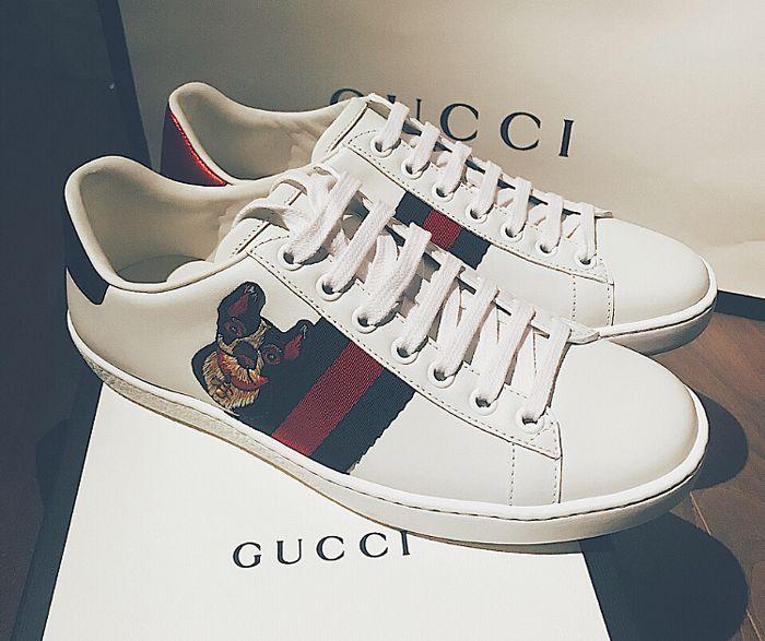 狗年生肖系列,生肖狗冷嘲热讽