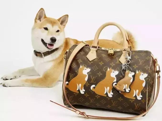 12生肖中一定要好好珍惜的生肖,十二生肖贺岁生肖