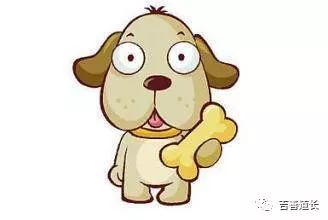 2018年生肖财运颜色,2018年各生肖的吉祥色