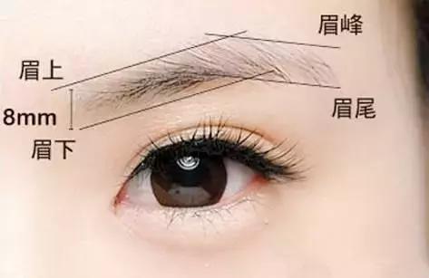 每天画眉,每天画眉还需要纹眉吗