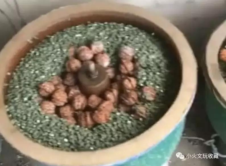 金刚核桃用什么刷,机器刷金刚核桃