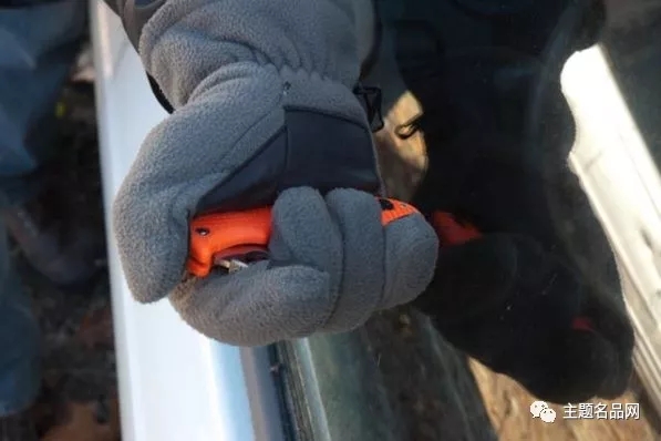 蜘蛛RescueAssistAtlanticSalt测评:同时拥有是怎样的体验