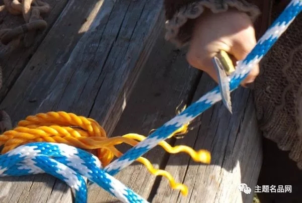 蜘蛛RescueAssistAtlanticSalt测评:同时拥有是怎样的体验