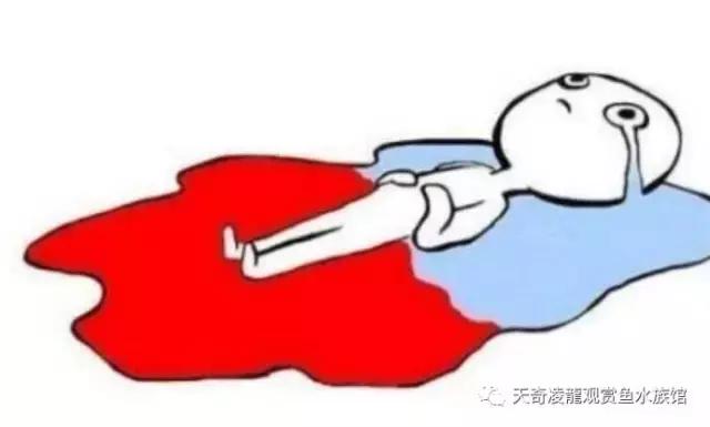 还在发送短信求财富指南？把一条龙鱼从20cm养到30cm就好了