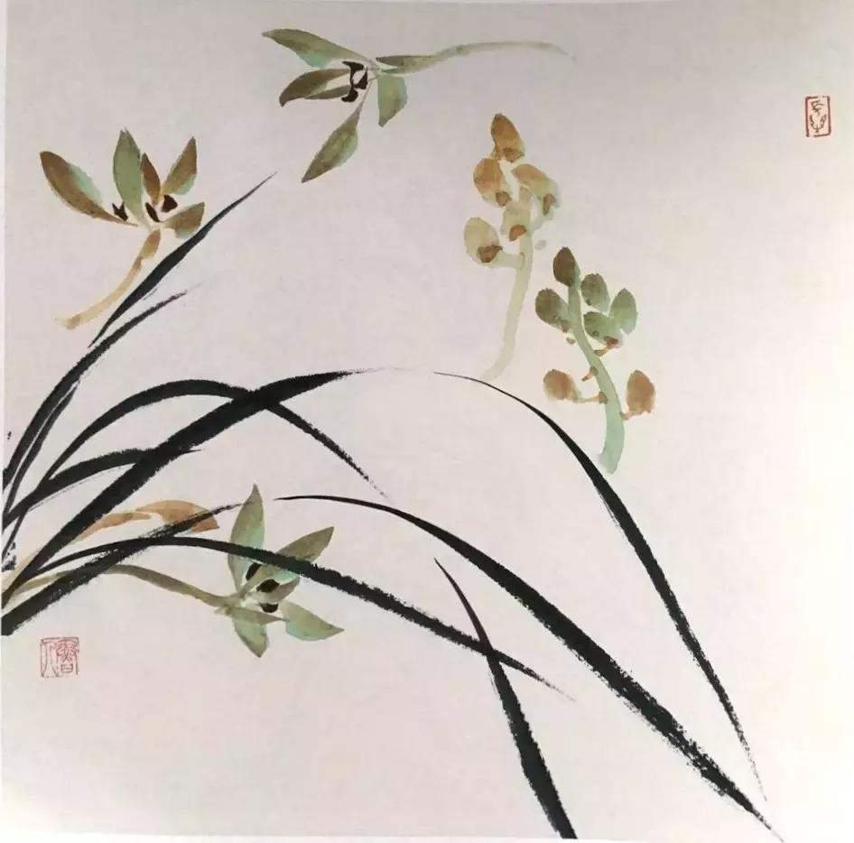 兰花绘画技法教程视频,徐湛国画兰花技法教学