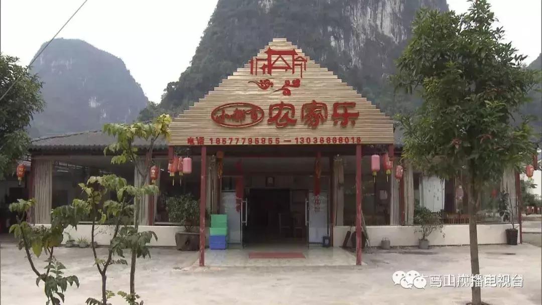 广西生态：“金字招牌”越擦越亮绿水青山变成“金饭碗”