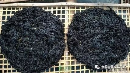 网警辟谣通报,2019年网警辟谣