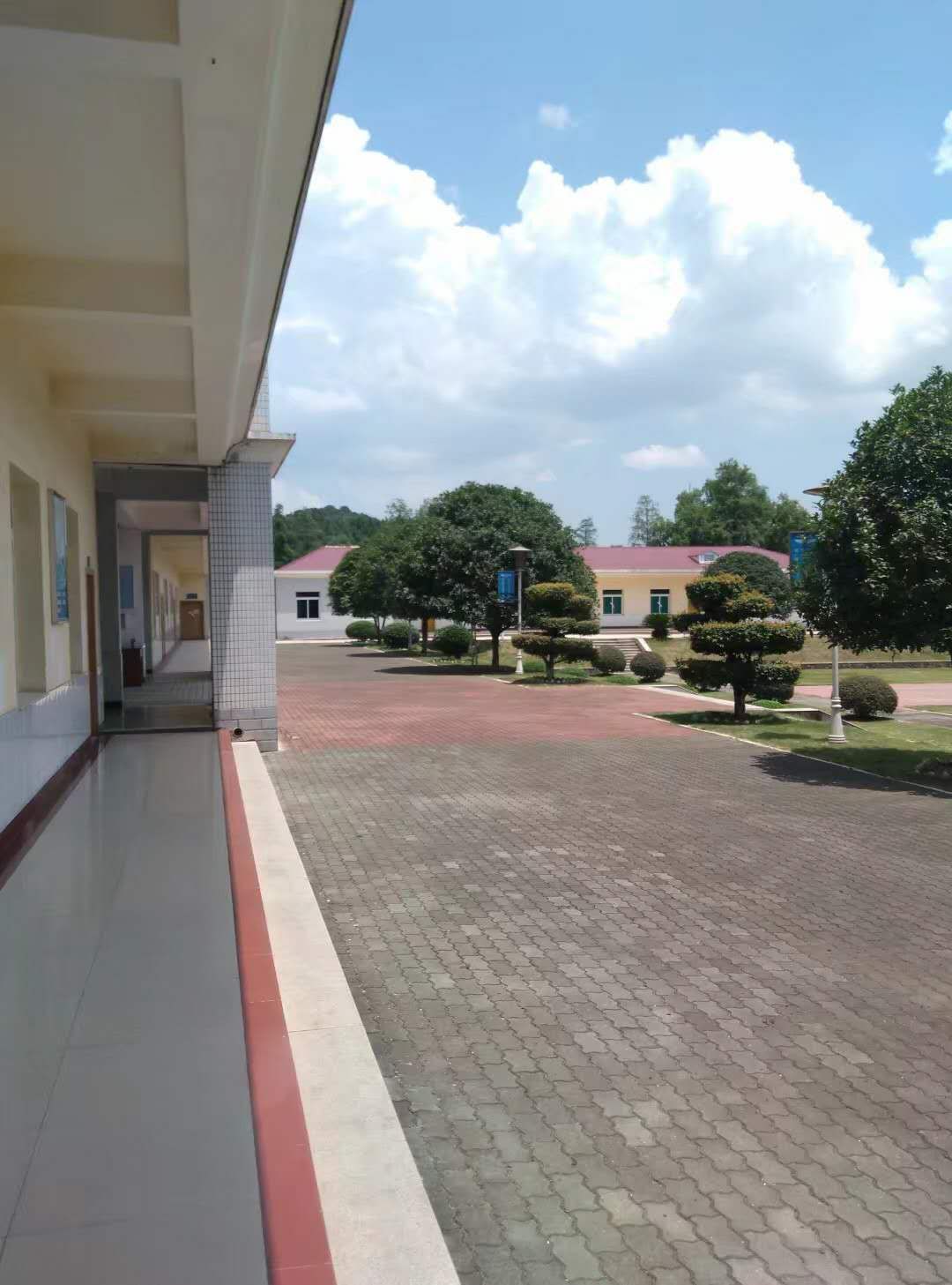 生活小技巧表白神器一定能用的到,表白神器绝对一次就成功