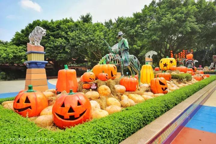 广州长隆欢乐万圣节最全攻略项目,广州长隆万圣狂欢夜我们来了