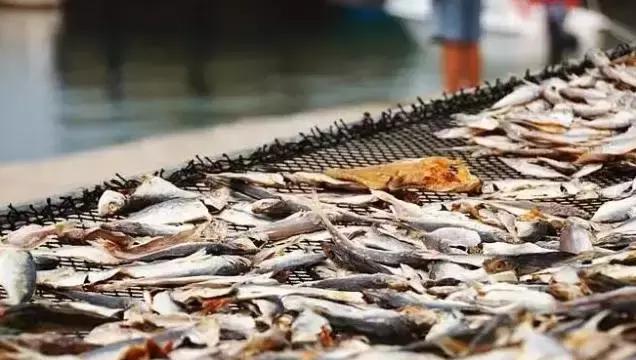 珠海海岛夏天旅游攻略路线,珠海海岛一日游最佳攻略