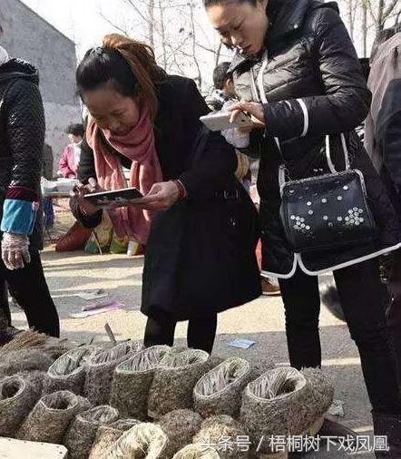 过去农村的孩子冬天穿什么,小时候农村冬天穿的鞋