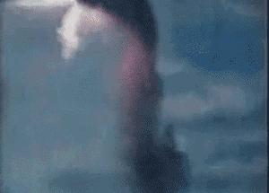 你知道青蛙旅行好玩，但不一定知道真正的青蛙早就玩过太空7日游