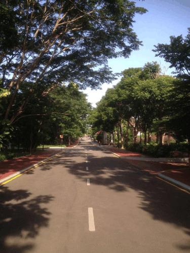 比阿里巴巴园区还要炫的Infosys班加罗尔园区,带你了解印度的IBM