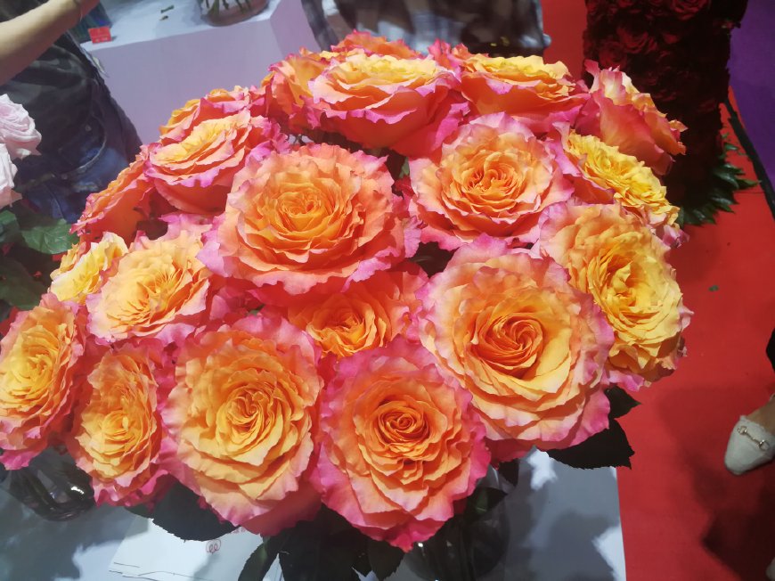 价格战是不是利润太高了,价格战的后果图片