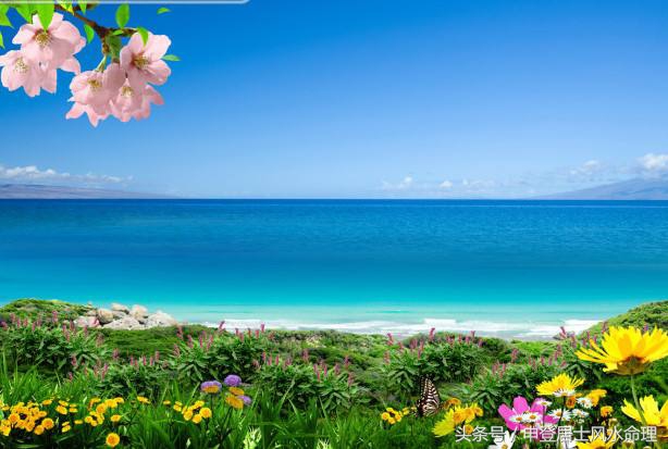 2023年十二生肖犯太岁运势完整版,2018年容易犯太岁的三个生肖