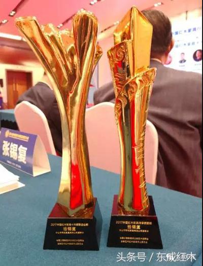 厦门机场金砖会晤,金砖国家峰会在厦门会晤