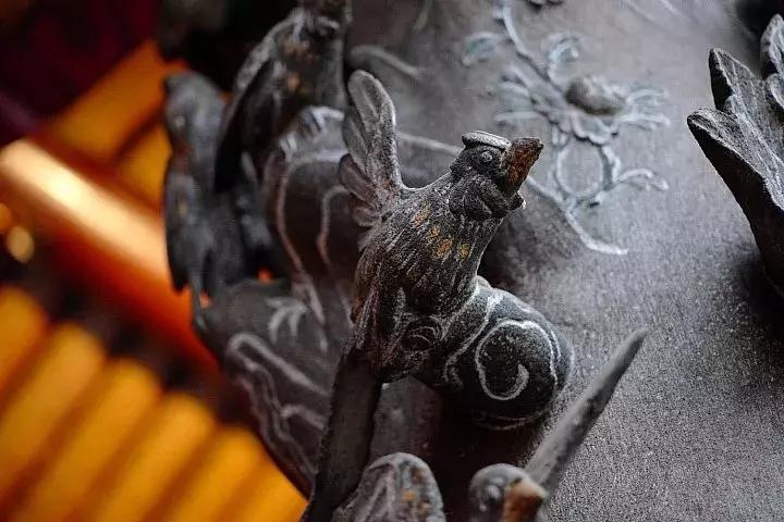 leicacl评测,leicacl