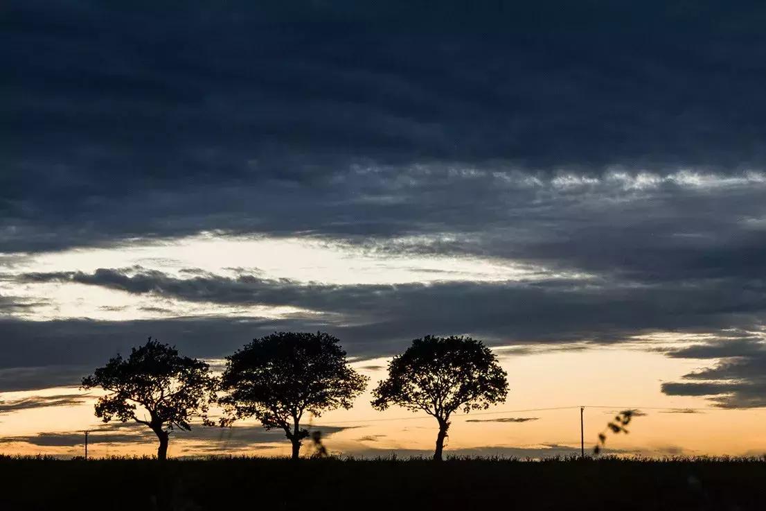 leicacl评测,leicacl