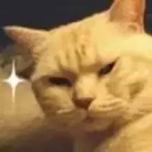 这该死的12306，谁能救救我~