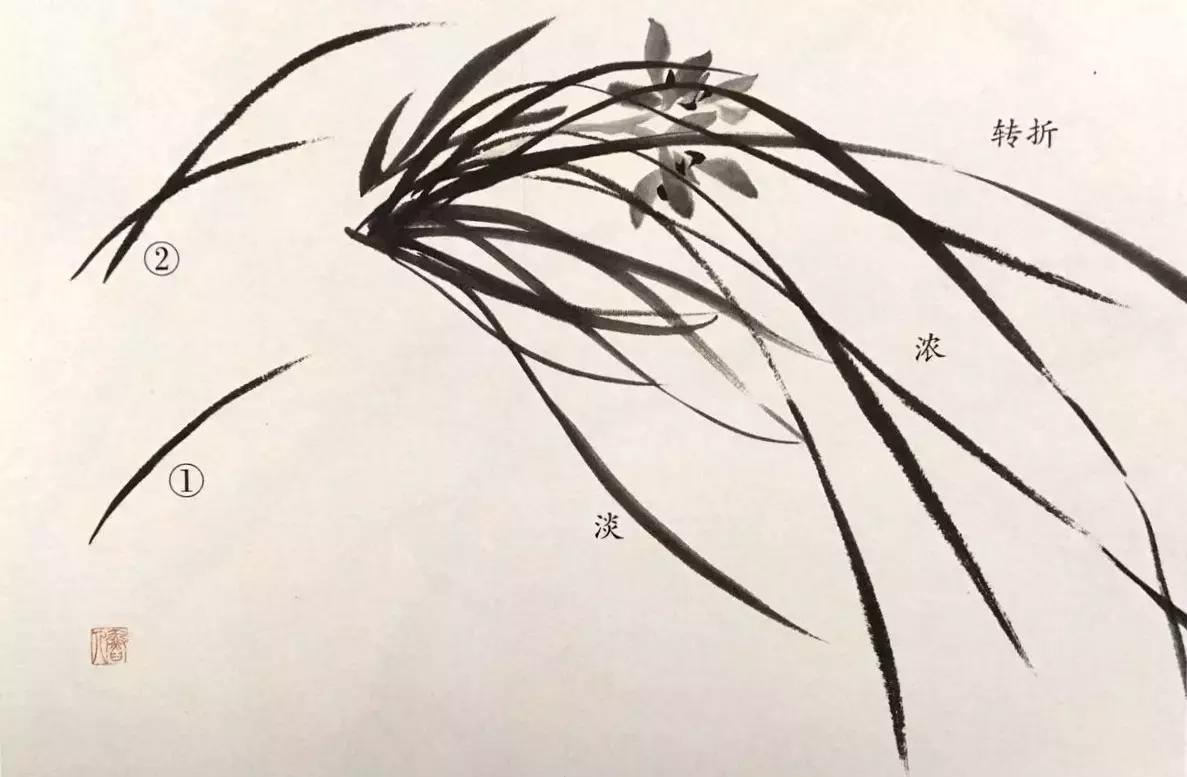 兰花绘画技法教程视频,徐湛国画兰花技法教学