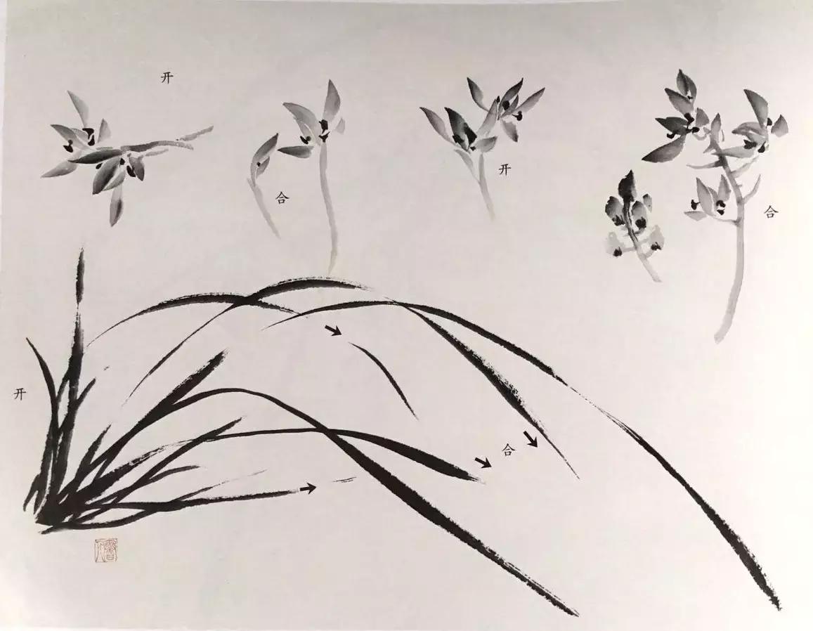 兰花绘画技法教程视频,徐湛国画兰花技法教学