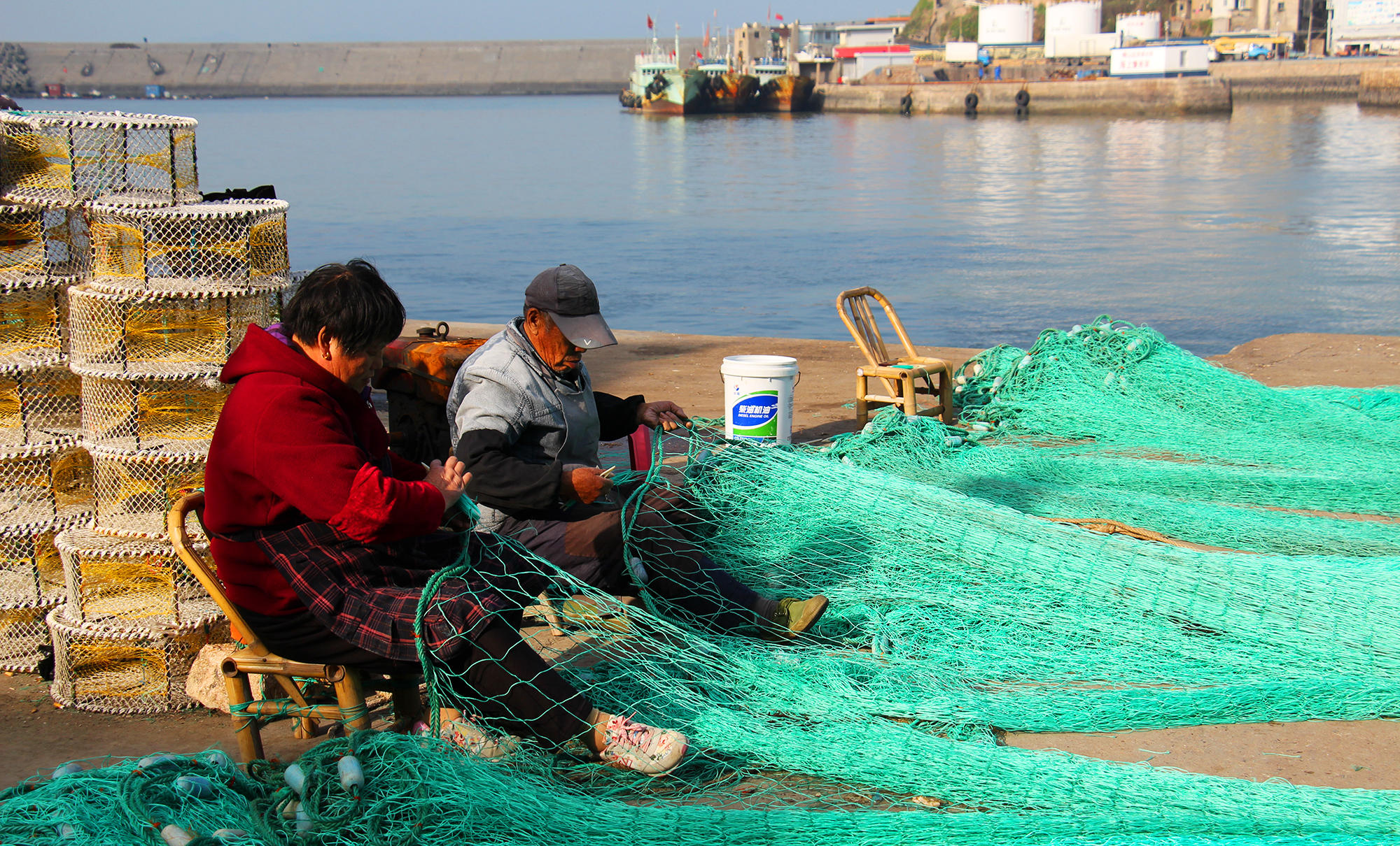 今年第一次钓海鲈鱼,最新钓七星鱼视频