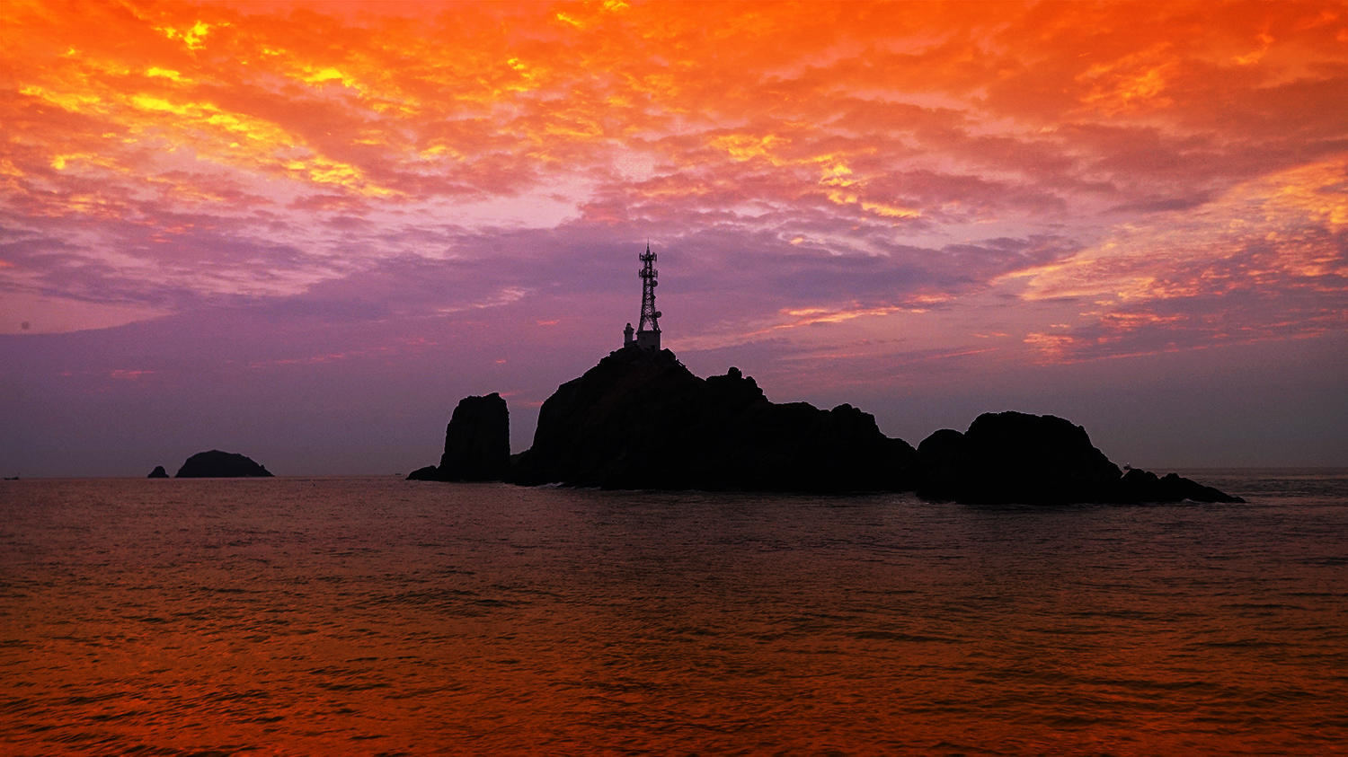 今年第一次钓海鲈鱼,最新钓七星鱼视频