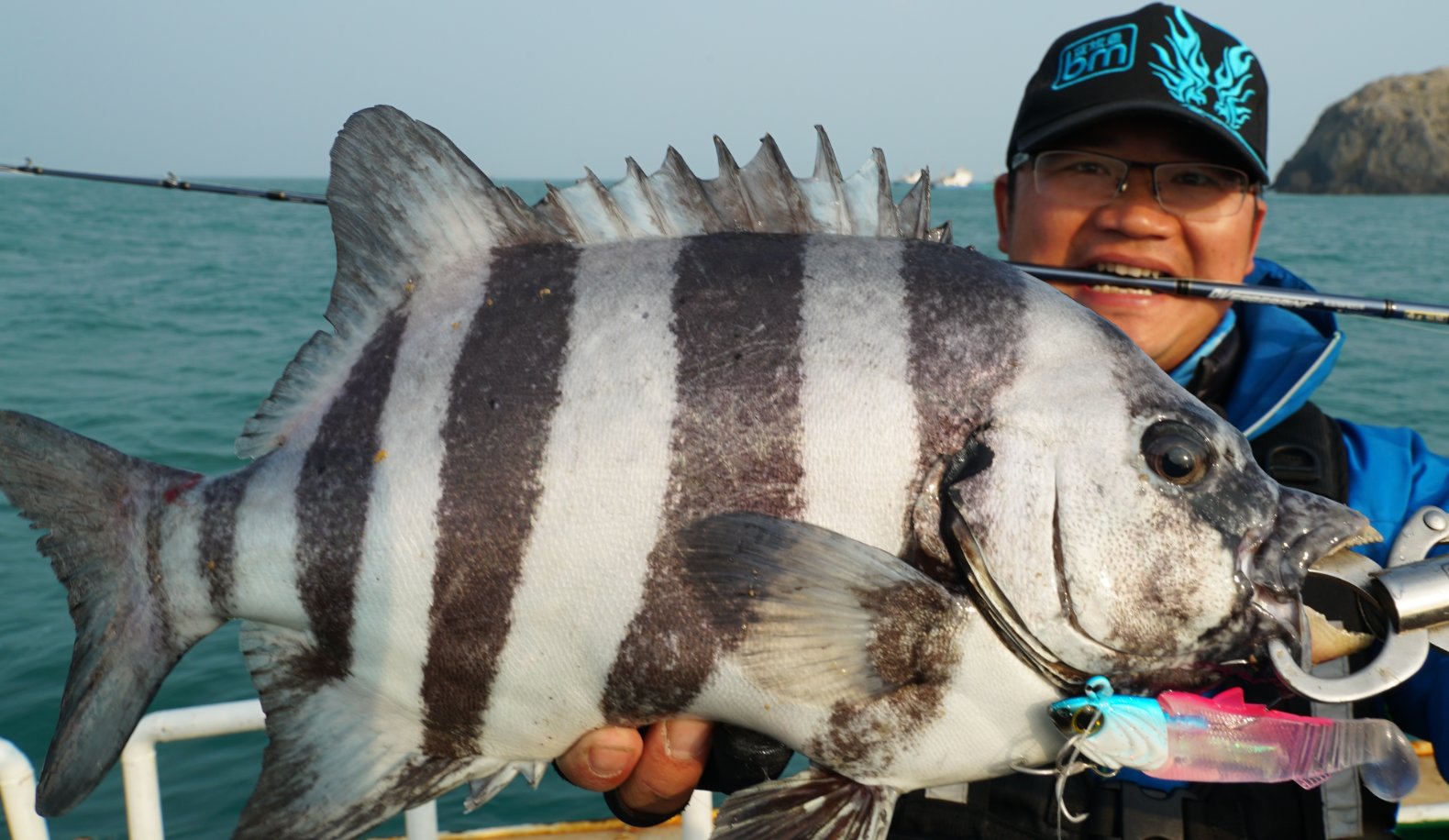今年第一次钓海鲈鱼,最新钓七星鱼视频